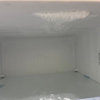 Yapay Zekalı Derin Dondurucuda Buzlanma Sorunu Ve Çözüm Eksikliği Yaşadım