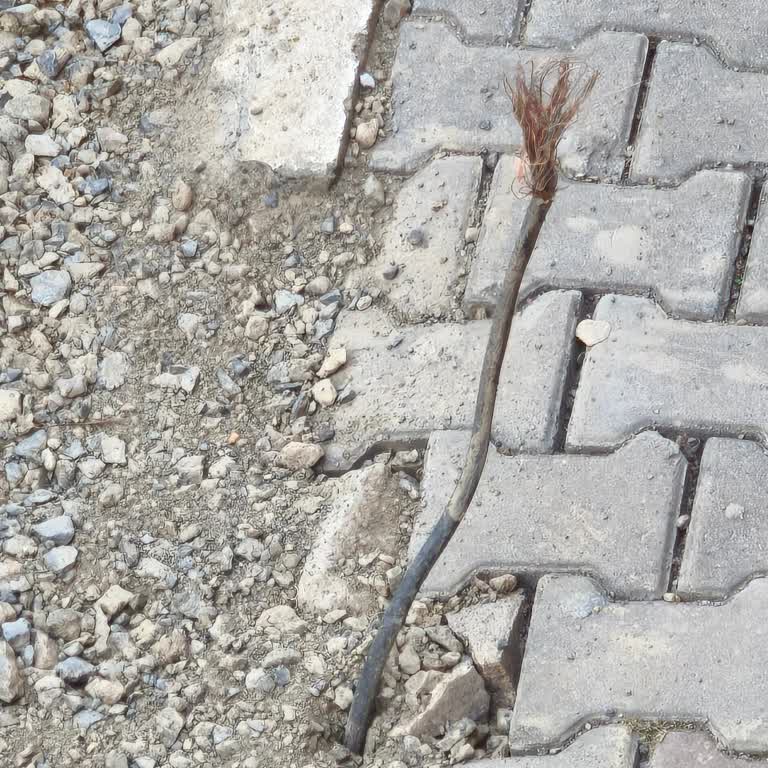 10 Gündür Devam Eden Kablo Arızası Nedeniyle İnternet Hizmeti Alamıyorum