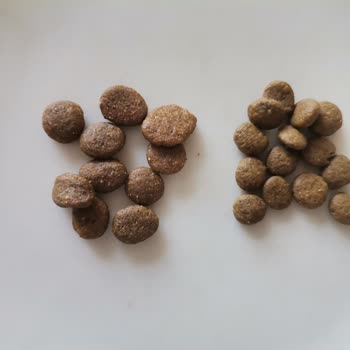 Farmina - N&D Mama Küçülen Mama Taneleri Kedimi Mamasız Bıraktı!