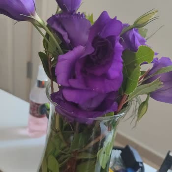 Sipariş Edilen Çiçek Görselden Farklı Ve Eksik Teslim Edildi, İade Talebim Var