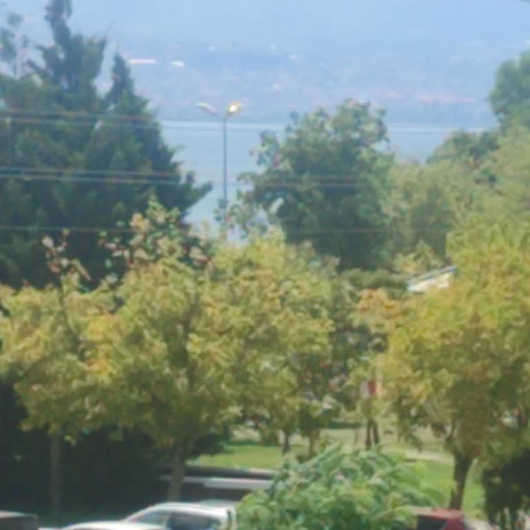 SEKA Park'taki Sokak Lambalarının Gündüz De Yanması Ve Çözüm Eksikliği