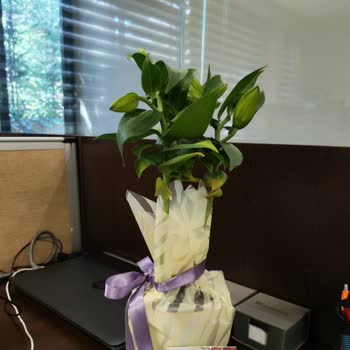 Yanlış Ürün Gönderimi Ve Şikayet Sürecinde Yaşanan Sorunlar