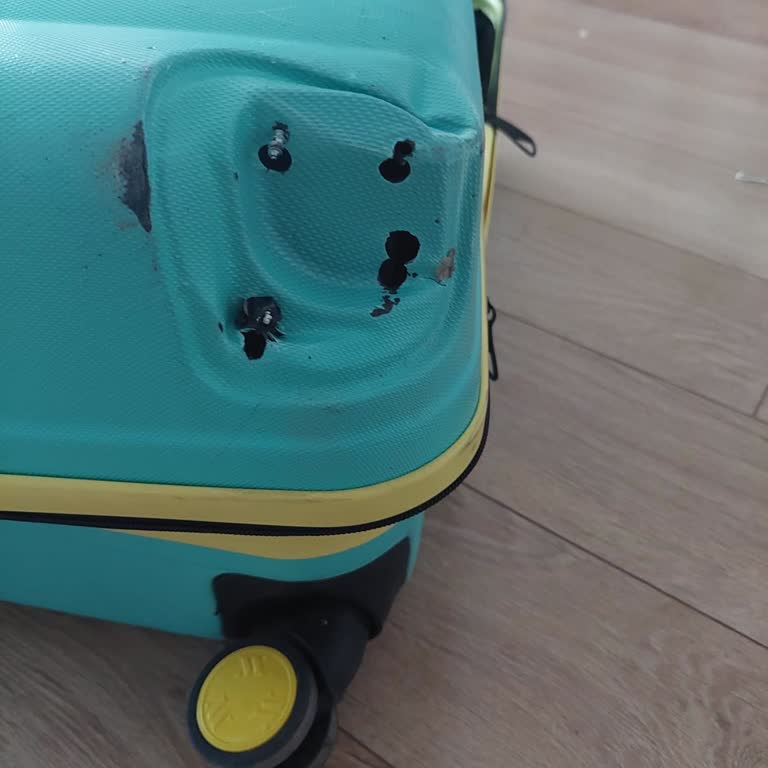 Bagaj Kaybı, Hasar Ve İletişim Sorunlarıyla Yaşanan Mağduriyetin Giderilmesini İstiyorum