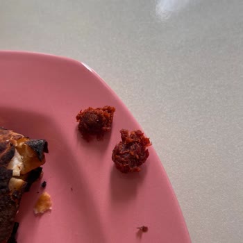 Paçanga Böreğinde Tarif Değişikliği Ve Malzeme Eksikliği Hayal Kırıklığı Yarattı