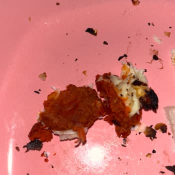 Paçanga Böreğinde Tarif Değişikliği Ve Malzeme Eksikliği Hayal Kırıklığı Yarattı