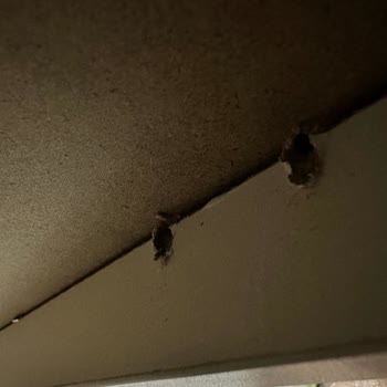 Yeni Aldığım Gardıropta Montaj Hatası Ve İlgisizlik