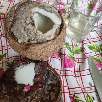 Küflü Hindistan Cevizi Satışı Ve İade Talebi