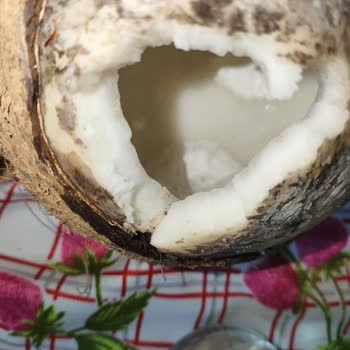 Küflü Hindistan Cevizi Satışı Ve İade Talebi