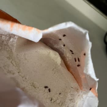 Aldığım Unun İçinden Böcek Çıktı, İade Ve Açıklama Talep Ediyorum