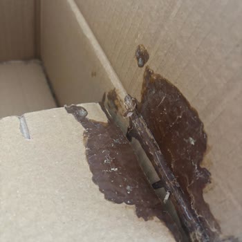 Rossmann Online Alışverişimde Şampuan Kapağı Açık Gönderildi