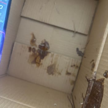 Rossmann Online Alışverişimde Şampuan Kapağı Açık Gönderildi