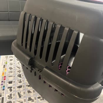 Uçuşta Köpeğimin Kafesi Parçalandı, Sağlığı Tehlikeye Girdi Ve Yeterli Destek Alamadım