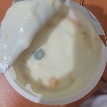 Son Kullanım Tarihi Geçmemiş Yoğurtta Tekrarlayan Sorun