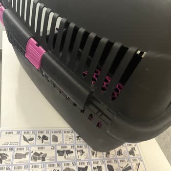 Köpeğim Uçuşta Zarar Gördü, Sorumluluk Kabul Edilmiyor!