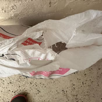 Kedi Kumu Siparişim Yırtık Paket Ve Düşük Kaliteyle Teslim Edildi