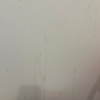 Altınkılıç Elmalı Kefir Açılırken Patladı, Ofisimi Kirletti