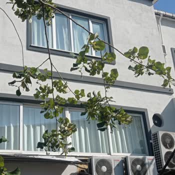 Arçelik Gültepe Servisi Yüzünden Klima Alamıyorum, Sorunum Çözülmüyor