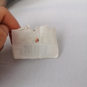 Mahi Doğada Nasılsa Kurabiyeden Taş Çıktı