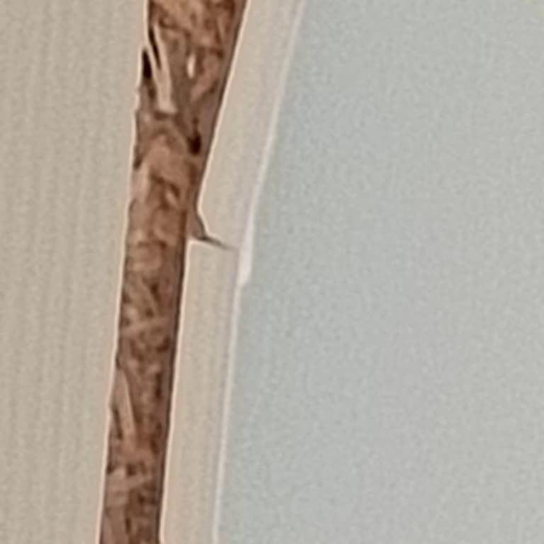 Hasarlı Gardırop Teslimatı Sonrası İlgisizlik Ve Çözüm Eksikliği