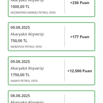 Yakıt Alımlarım Oyuna Yansımıyor, Bütçem Eksik Görünüyor