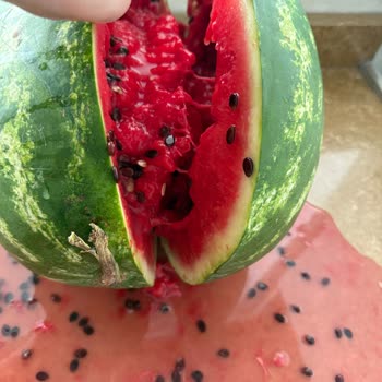 BİM’den Satın Alınan Bozuk Karpuz Nedeniyle Mağduriyet Ve Gıda Güvenliği Endişesi