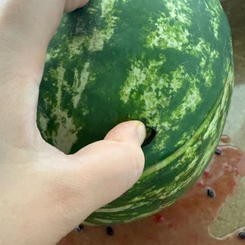 BİM’den Satın Alınan Bozuk Karpuz Nedeniyle Mağduriyet Ve Gıda Güvenliği Endişesi