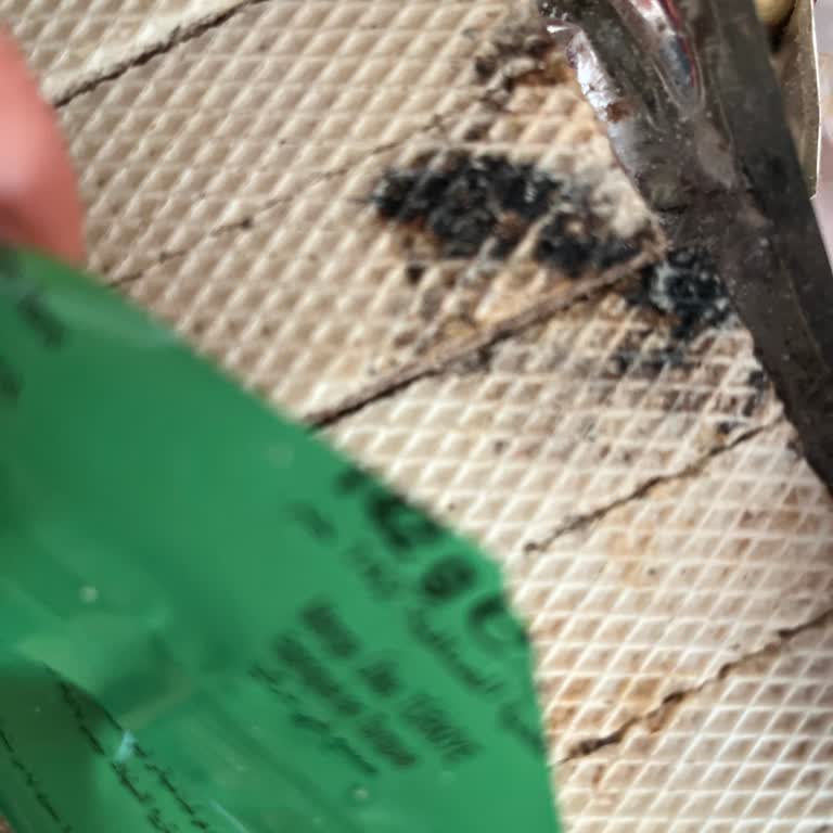 Centro Gofretin Üzerinde Siyahlıklar Çıktı Yeni Ürün Talep Ediyorum