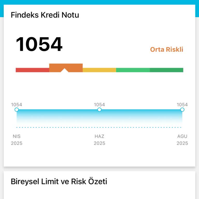Kredi Kartı Düzenli Kullanımına Rağmen Puanım Artmıyor Ve Limit Artışı Reddediliyor
