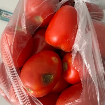 Migros Hemen Siparişimde Tekrar Çürük Meyve Ve Sebze Sorunu Yaşadım