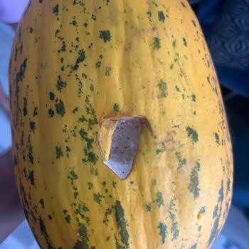 Migros Hemen Siparişimde Tekrar Çürük Meyve Ve Sebze Sorunu Yaşadım