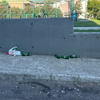 Parkta Güvenlik ve Temizlik Sorunları Hakkında Şikayet