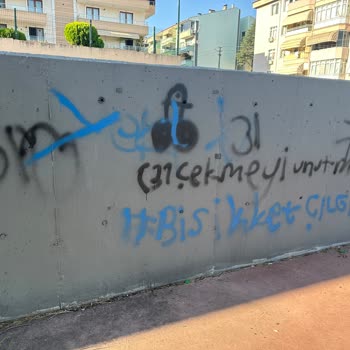 Parkta Güvenlik ve Temizlik Sorunları Hakkında Şikayet