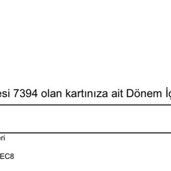 Airbnb Rezervasyonunda Fazla Para Çekilmesi ve Destek Eksikliği