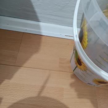 Bosch Klima Montajında Servis İlgisizliği Ve Parke Zararı