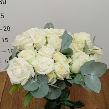 Solmuş Ve Lekeli Güller, Yetersiz Çözüm: Siparişimde Hayal Kırıklığı