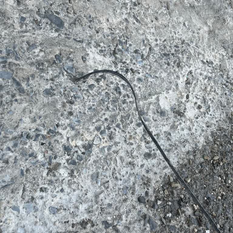 Kurulum Hatası Nedeniyle Uzun Süreli İnternet Kesintisi Ve Mağduriyet