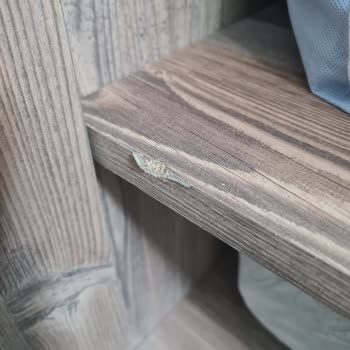 Fox 21 Express Zarar Gören Eşyalar