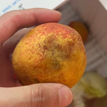 Vestel Buzdolabında Tekrarlayan Arıza Ve Yetersiz Servis Deneyimi