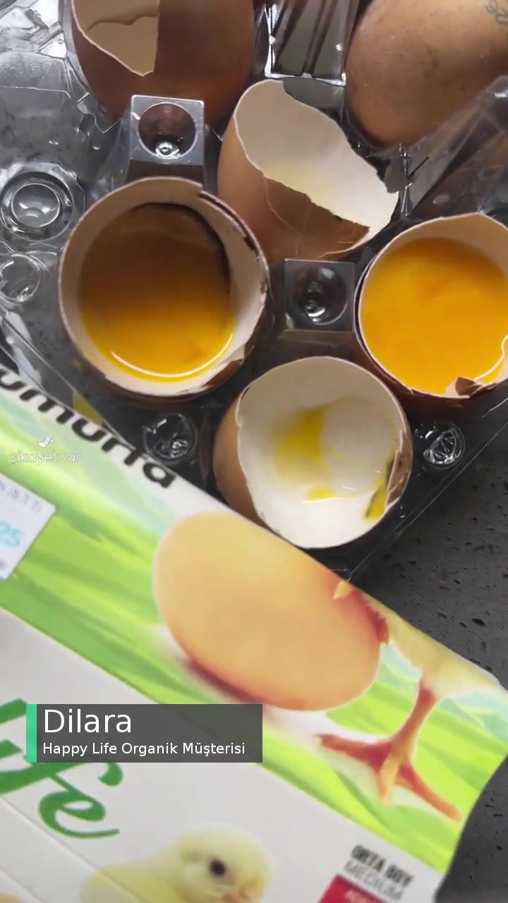 Happy Life Organik Taze Diye Satılan Çürük Yumurta videonun kapak resmi