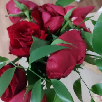 Çiçek Sepeti'nden Teslim Edilen Güller Solmuş Ve Taze Değildi Büyük Hayal Kırıklığı Yaşadım