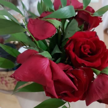 Çiçek Sepeti'nden Teslim Edilen Güller Solmuş Ve Taze Değildi Büyük Hayal Kırıklığı Yaşadım