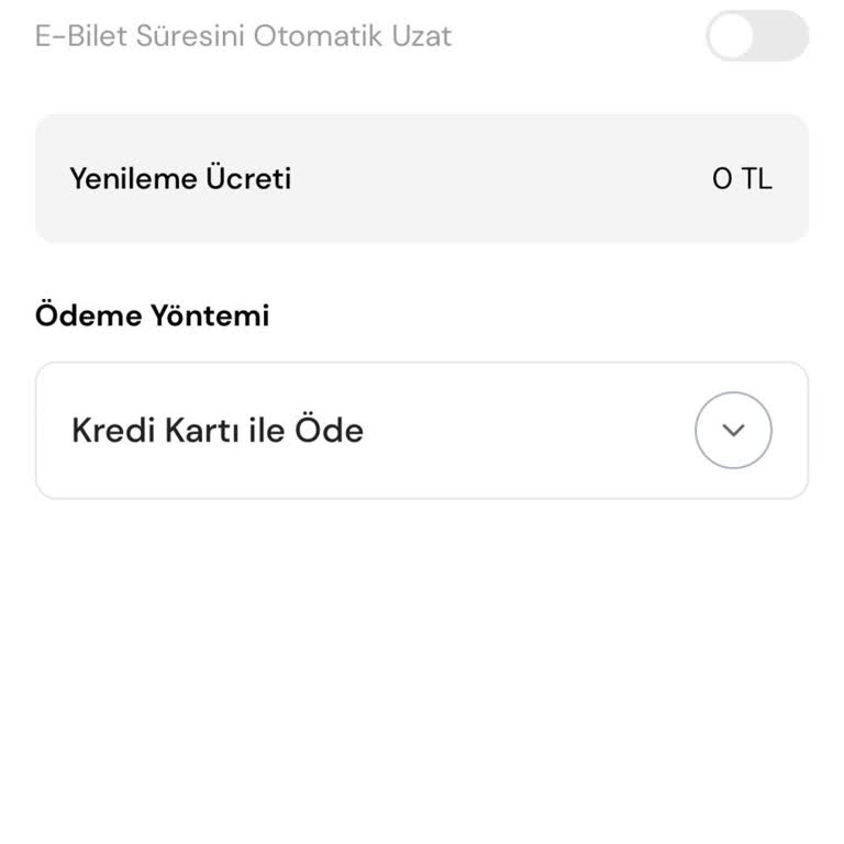 E-Bilet Süresi Uzatılamıyor: Uygulama Ve Web Sitesinde Sürekli Hata Alıyorum