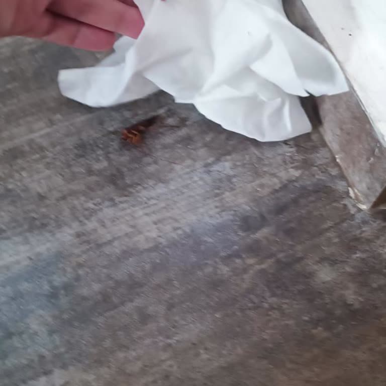 Bitez Garden Life Otel’de Temizlik, Yemek Ve Hijyen Sorunları Tatili Yarıda Bıraktırdı