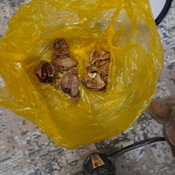 Bozuk Ceviz Ve İncir Teslimatı Sonrası Çözüm Sunulmadı, Mağduriyetim Giderilmiyor