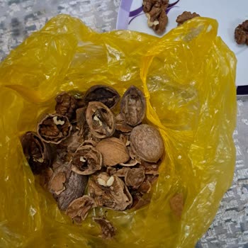 Bozuk Ceviz Ve İncir Teslimatı Sonrası Çözüm Sunulmadı, Mağduriyetim Giderilmiyor