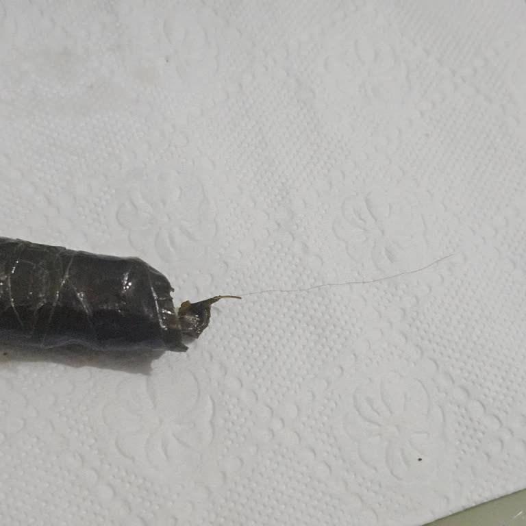 Sarmadan Çıkan Kıl Nedeniyle Hijyen Endişesi Yaşadık