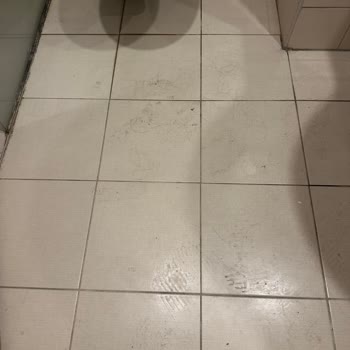 Konaklama Süresince Yaşanan Temizlik, Hizmet Ve Konfor Sorunları