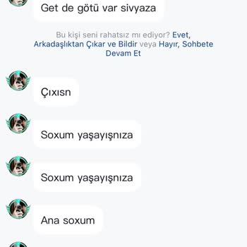 Uygulamada Küfürlü Mesajlarla Rahatsız Edilme Ve Yetersiz Destek