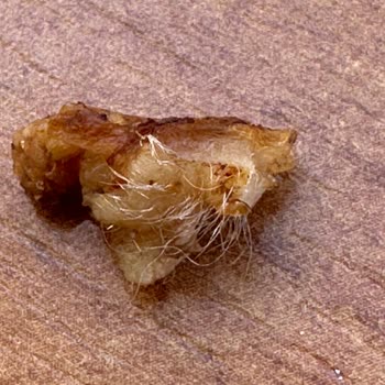 Et Dönerde Hijyen Şoku: Tüylü Yabancı Madde Çıktı!