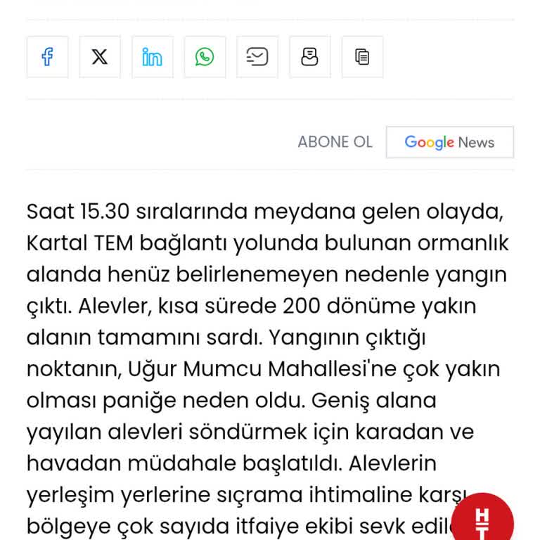 Yanan Orman Alanının Yeniden Ağaçlandırılmaması Ve Parktaki Ağaçların Kuruması Nedeniyle Hayal Kırıklığı